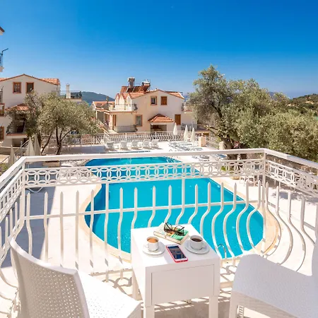 מלון Artemis קס